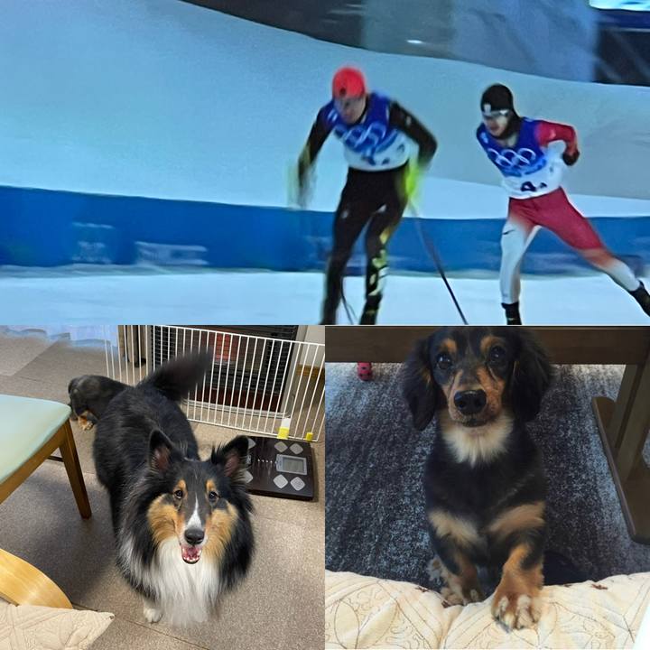 44b90eca 42bf 4943 8878 f4fa77eff1ec 1645098798498