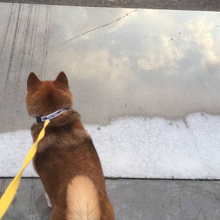 44b952b0 a9b3 4eda 9ab9 5bc170fc0ba4 1552725364049