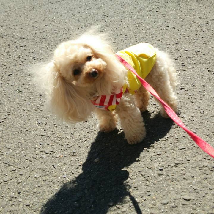 44b97f76 fe5f 4ee8 9894 9010a72be9d9 1522399487896