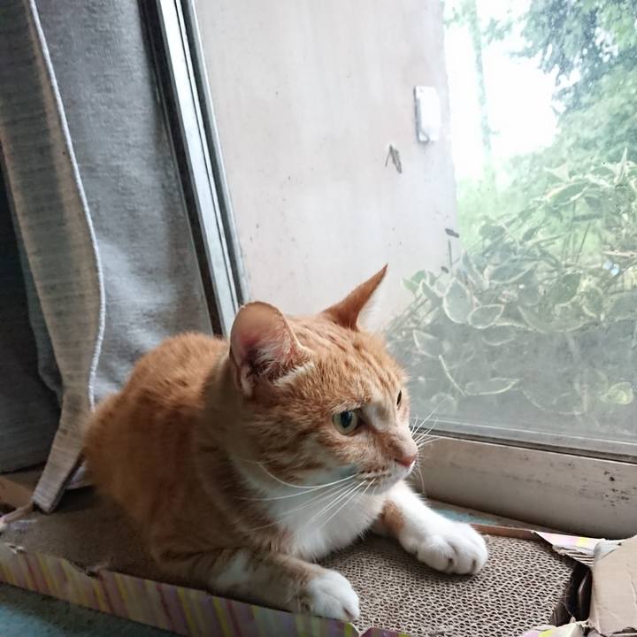 44b99906 c623 469b b56b 892163fe3037 1594718225858