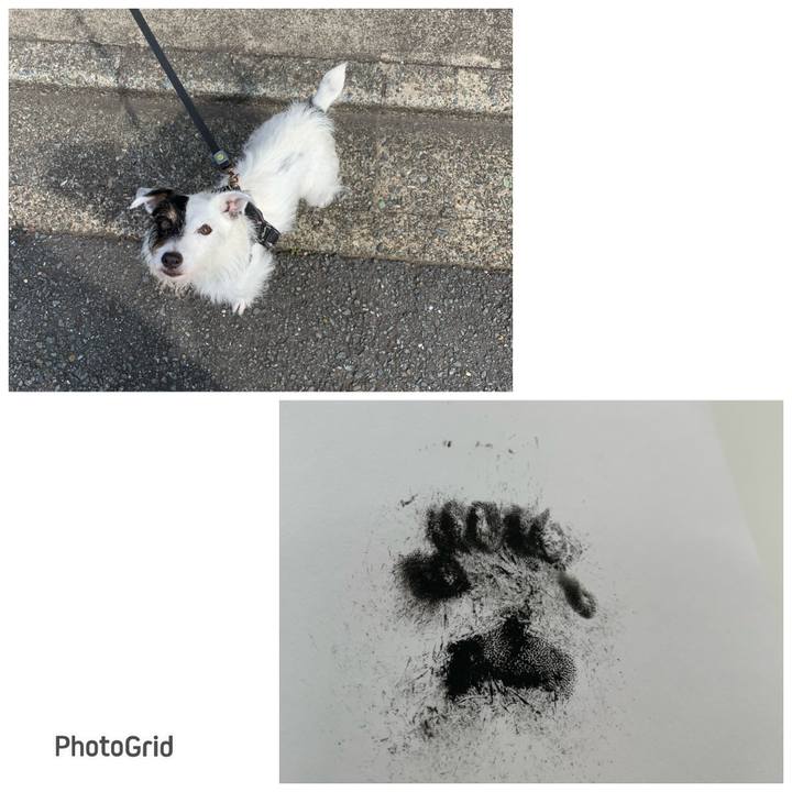 44b9ac69 d7ae 453d bb81 9a503a754949 1687047289665