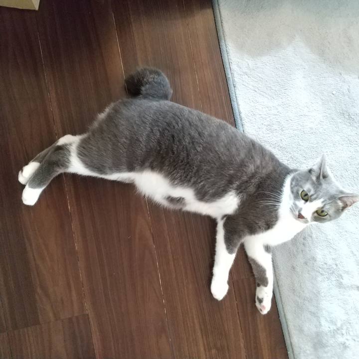 44b9c147 2b15 4fe6 99be 8e46efbdebe0 1617491597567