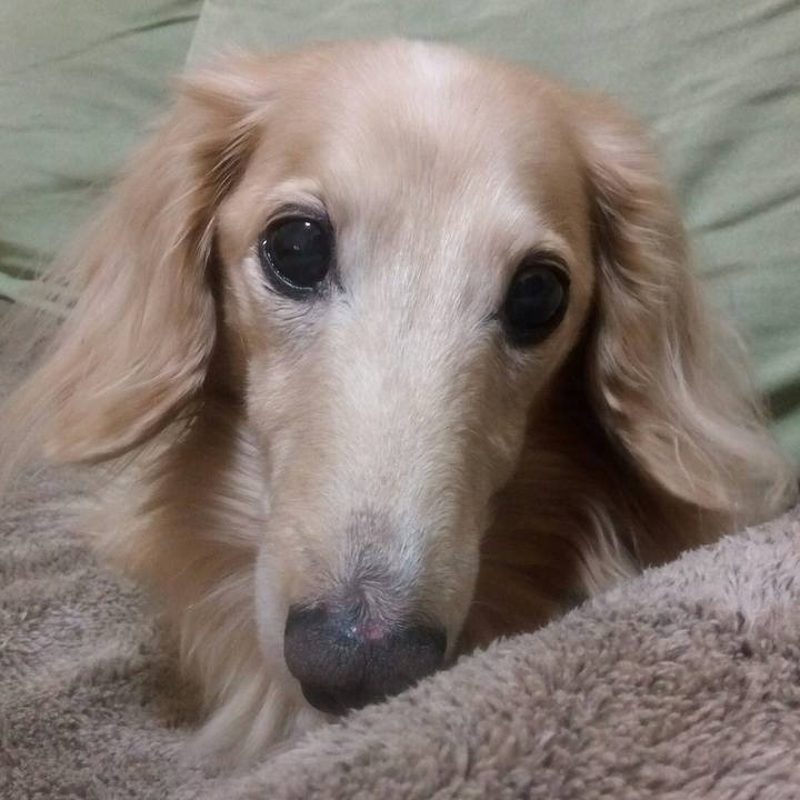 44b9f198 08be 4f42 866a 116fff7ec590 1544612628801