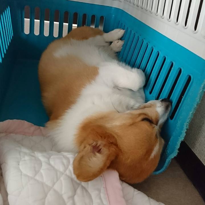 44ba17a8 3f55 49f7 8ec0 822f313708ae 1535079931455