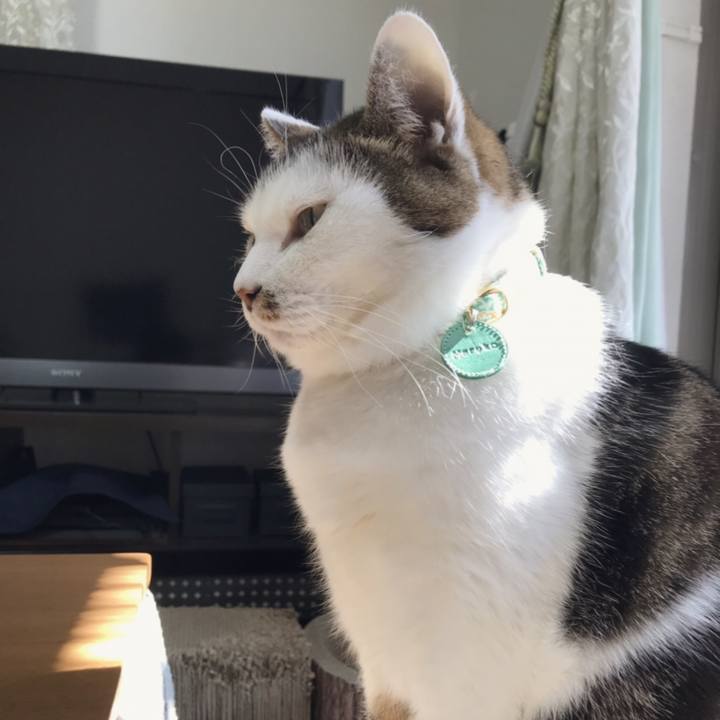 44ba24f6 2f6e 404b 918f 7716d0920d02 1553310927123