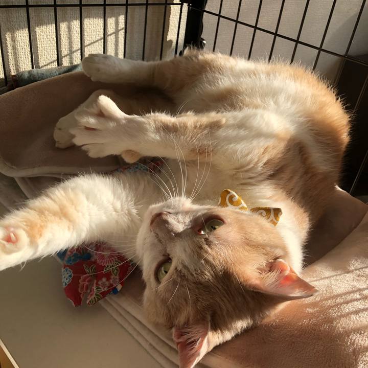 44ba30f9 bc1e 41e7 9ab3 0657dd9f5ee4 1582688257080