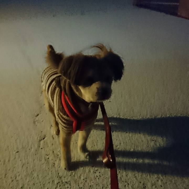 44ba599f c5e6 4d80 b57f d1118f1dc9c5 1515748608409