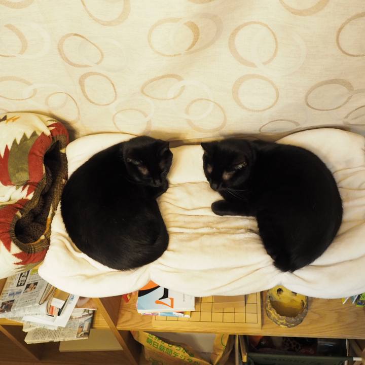 44ba7186 decb 4c79 8822 124240b69644 1544364425558