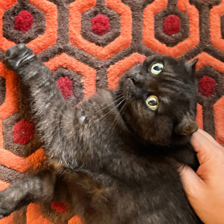 44ba7894 4a4f 4236 a4d3 7865d68a62e4 1593944006452