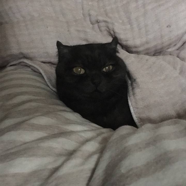 44bac6eb f16f 4b76 8468 f1c9aa05cd6f 1547567925091