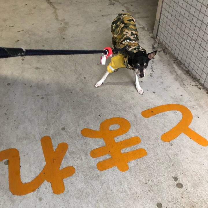 44bac70c 7592 4ddd a02c 2f5d0bbda219 1536535641022