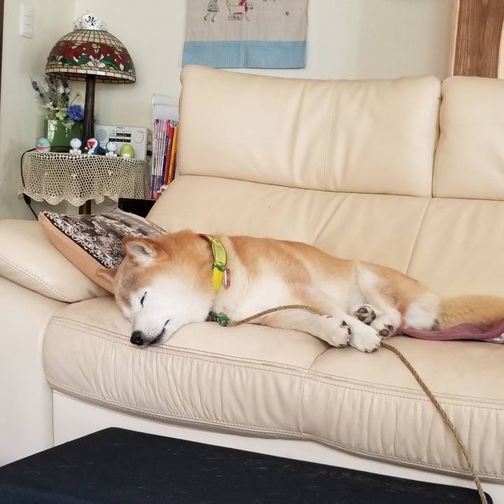 44bacbe9 7084 4ea2 bee1 130123c8a287 1691631394201