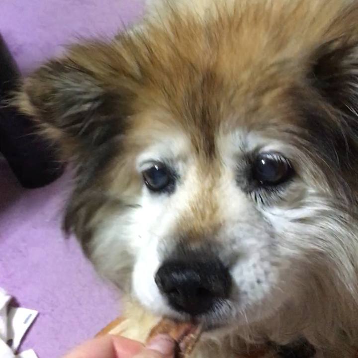 44bb81ac 052b 455e 9408 26e014362e3b 1575004250280