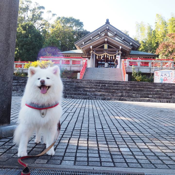 44bb9707 c4c8 4cb6 8521 2e326fa5c220 1605413692547