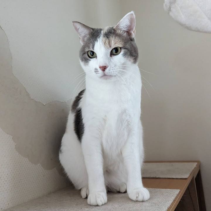 44bbb977 a279 44f5 bd9c 7f4ac19edf71 1704599480275