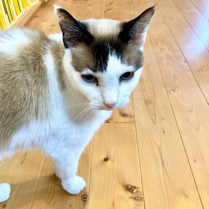 44bbd32d b459 4806 97cd ef99da0cd762 1651659114223