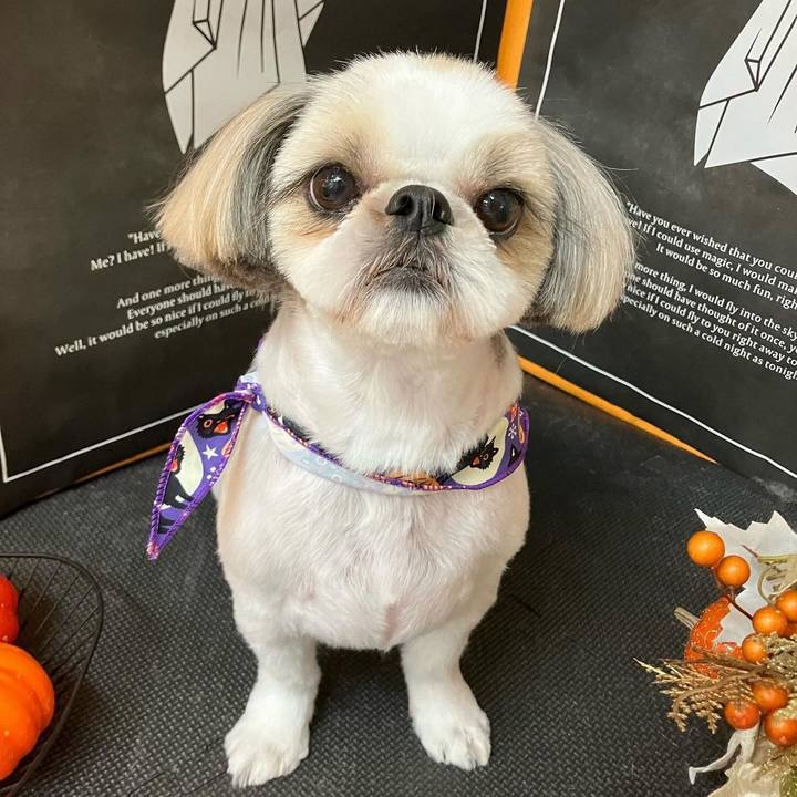 44bbf17e 54bd 469c bcae 90daad39b2a8 1730197956595