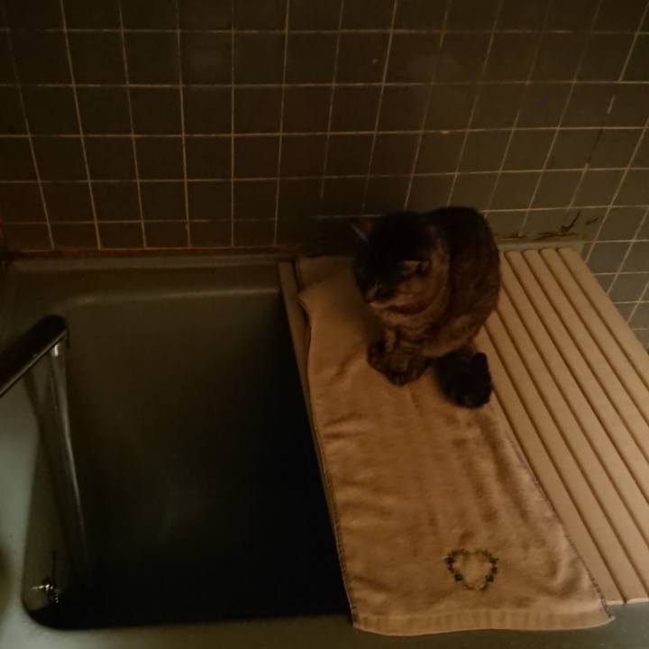 44bbf658 7922 404c 8b1f e92f87340603 1574414421027