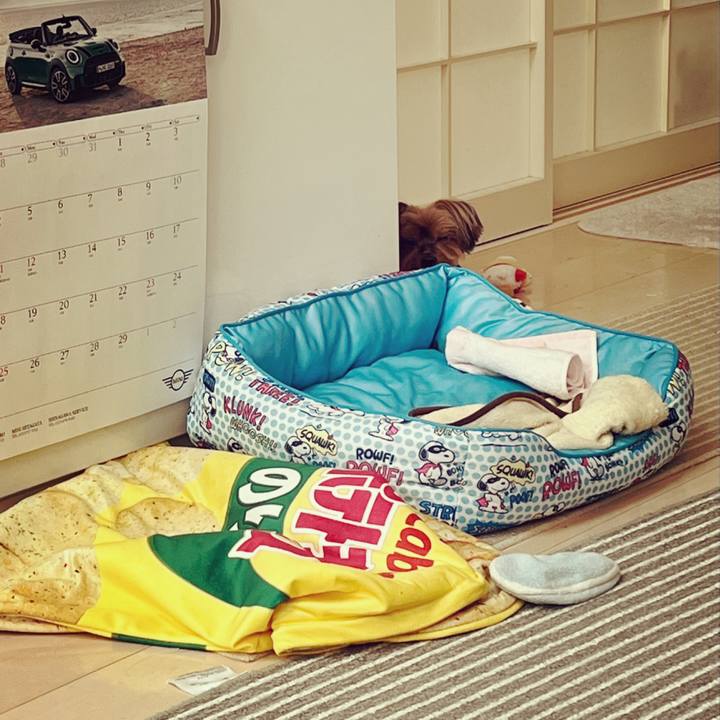 44bc1ded 759b 4da2 998d 28afbad64103 1707957188275