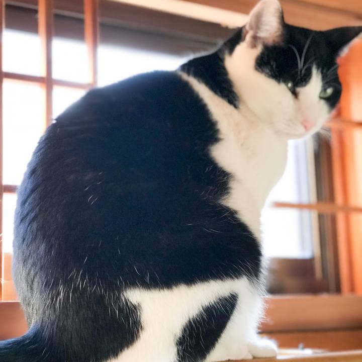 44bc490b 26d5 4901 ac46 e5b14579bc92 1515283565709