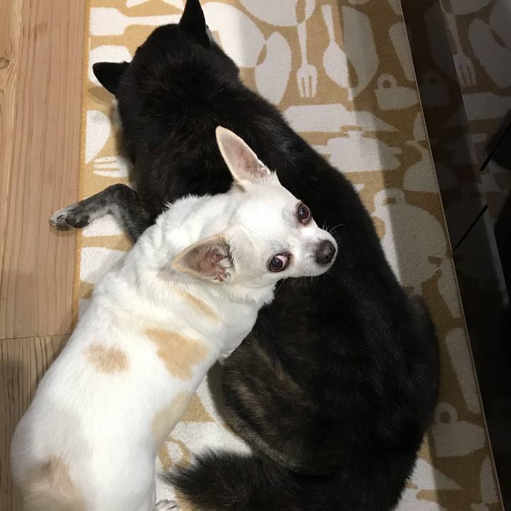 44bc5248 09aa 46b8 bbc8 63f35f30c598 1604236627484