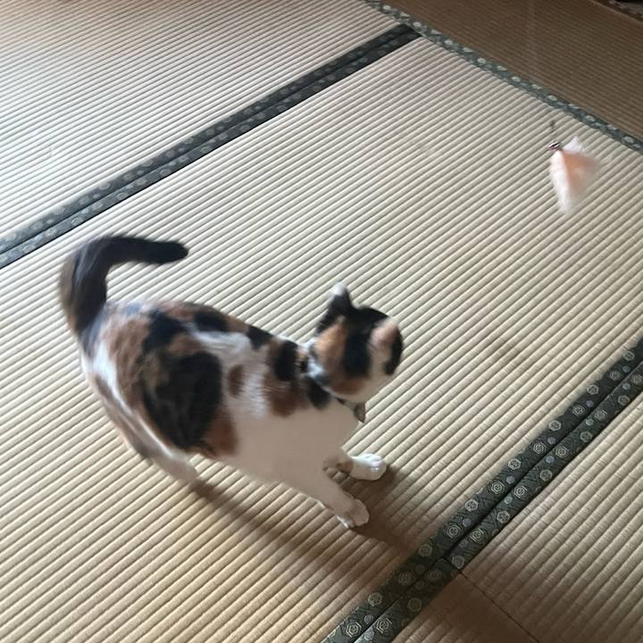 44bc5796 1711 4c6f 8e47 3e55ea6b800c 1771397750573