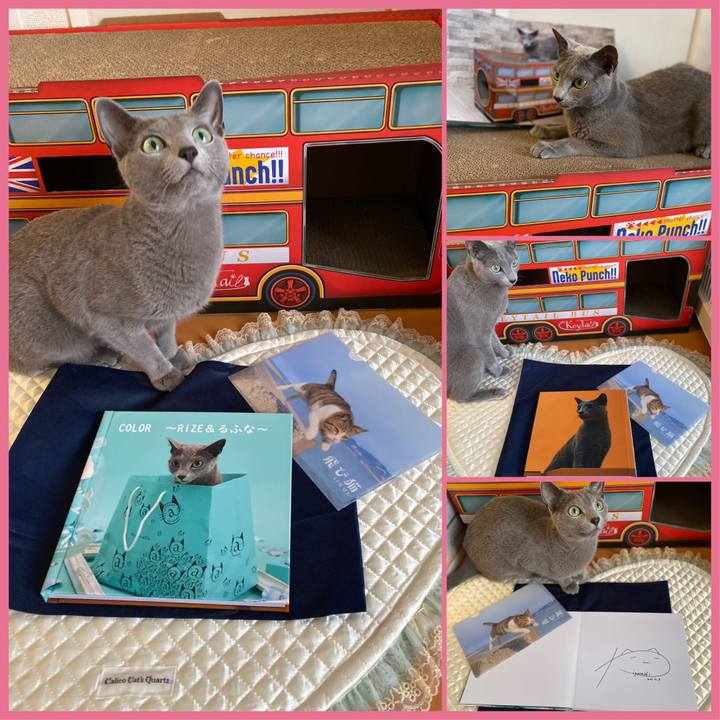 44bc7687 4567 4b7d 8ecb aa7a5e42910d 1688901965954