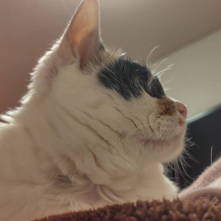 44bca24c b86d 4dc5 bdca 0c566f70cb19 1744643365032