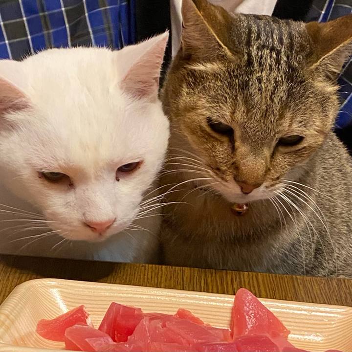 44bce961 ef96 4650 b6d3 9545a49b2ec8 1671790316231