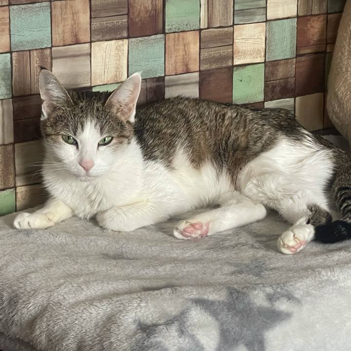 44bce9a1 783f 4a3c b9d4 abbebaaf22bc 1641264703897