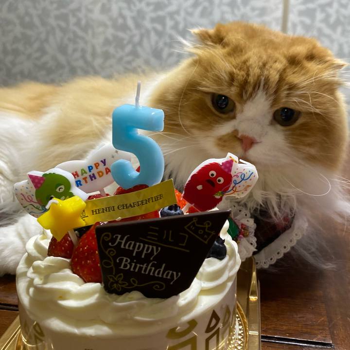 44bd1d29 aa3b 44f8 b3b7 1b223438b9e2 1668745574390