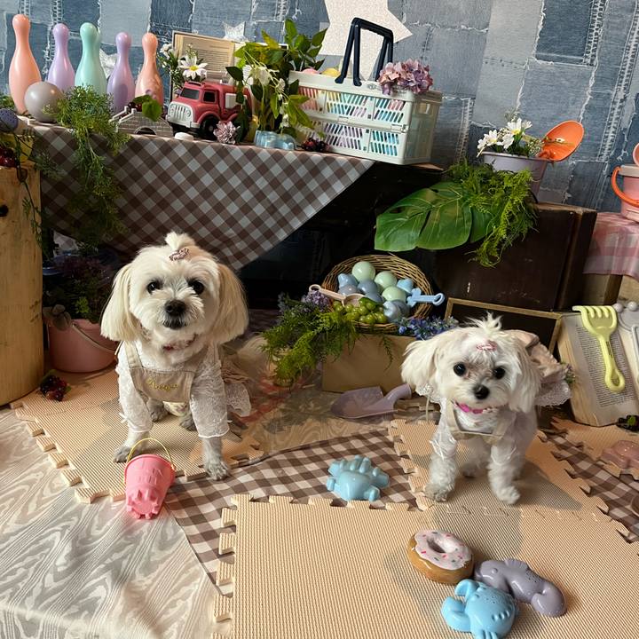 44bd45cb 31ea 4d5b b6b5 e91a05363177 1725338435364