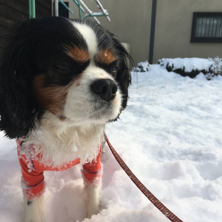 44bd4f17 ea9b 477d 91af 6931c55b656b 1515145861223