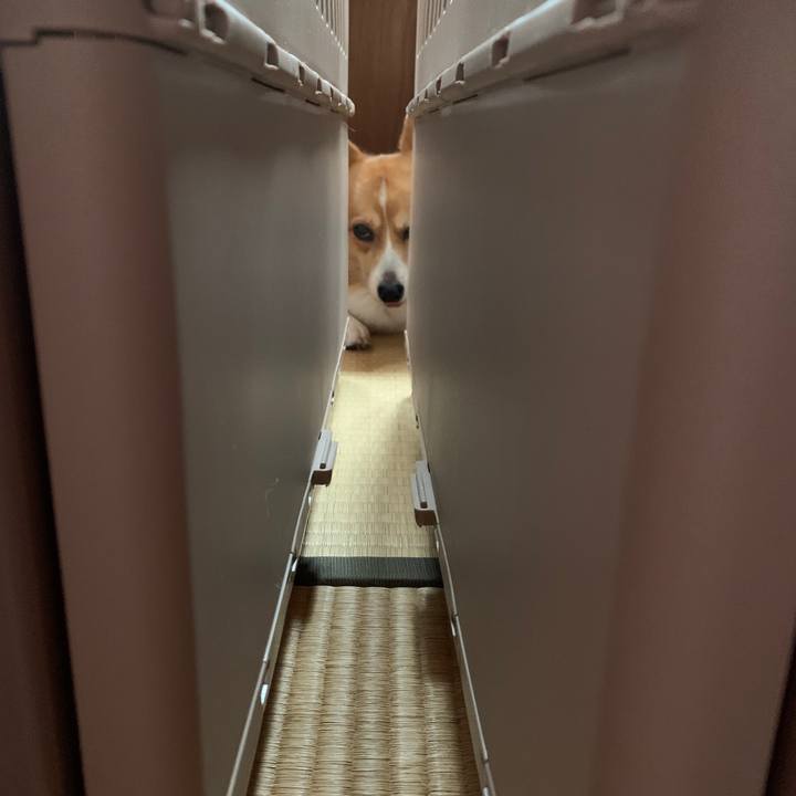 44bda362 b401 4581 80e9 9e8357fb310f 1601016652155