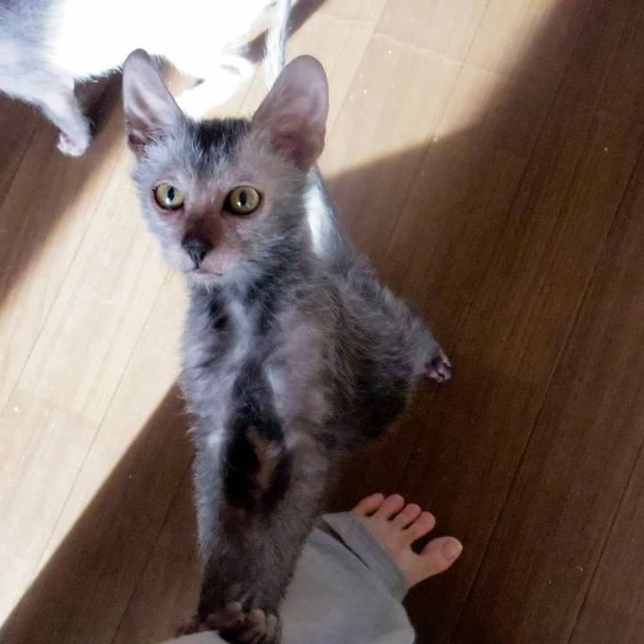 44bdc556 7b25 418c b6ad 3f646857dce7 1513135994943