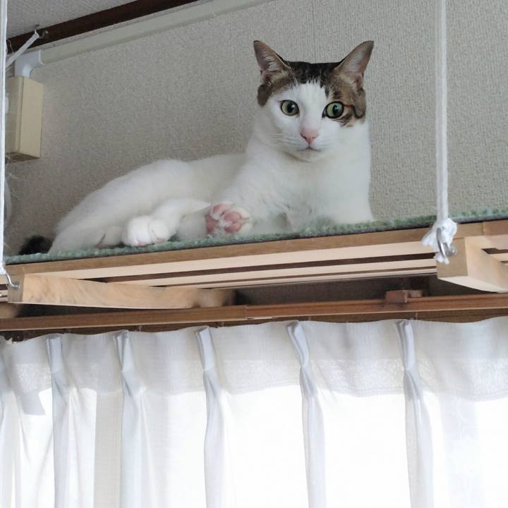 44bdc8d5 1bb2 43a7 9ba8 3e7e7ebf401c 1735774962949