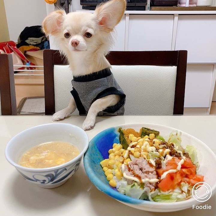 44bdf11c 6b27 466c 9511 083d981b7199 1603112665783