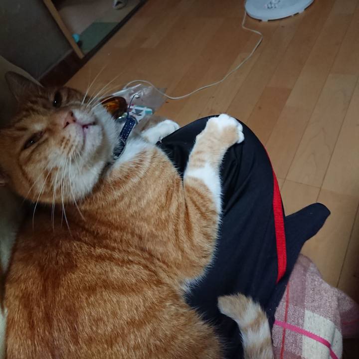 44be1f50 7f09 4cae ad2e 2c02e7f44fba 1601103213903