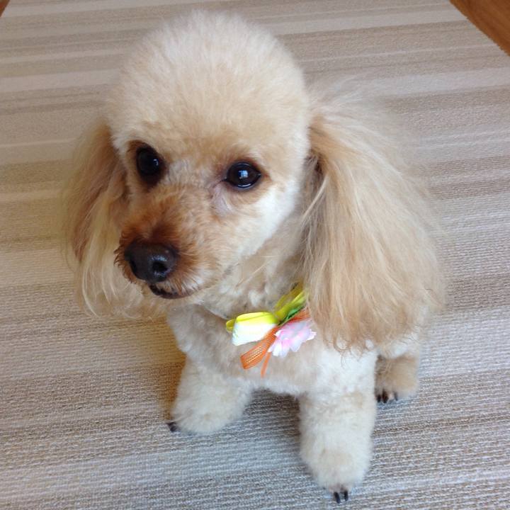 44be22ee 075b 452d 87fd 2bbe5bc3d842 1587206599587