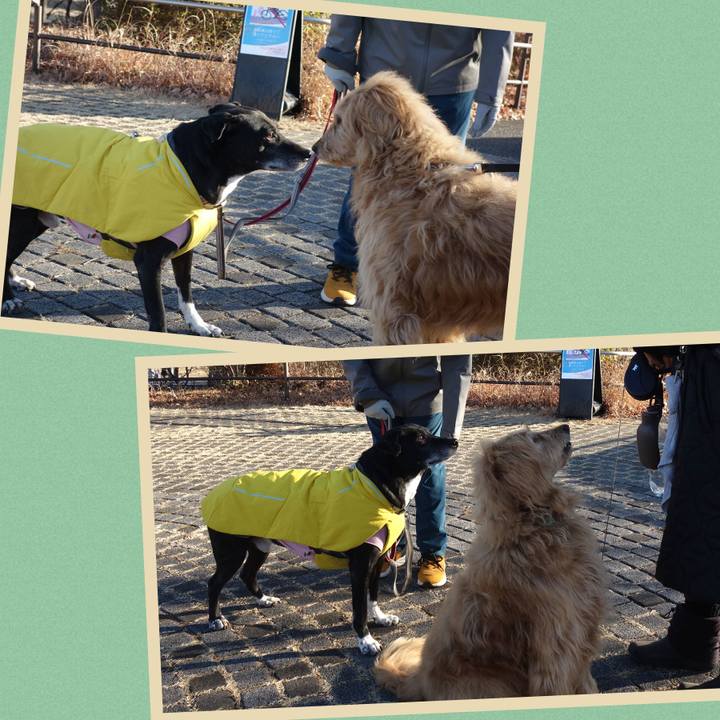 44be3524 0311 4549 bac2 adb1ac438dab 1739495521664