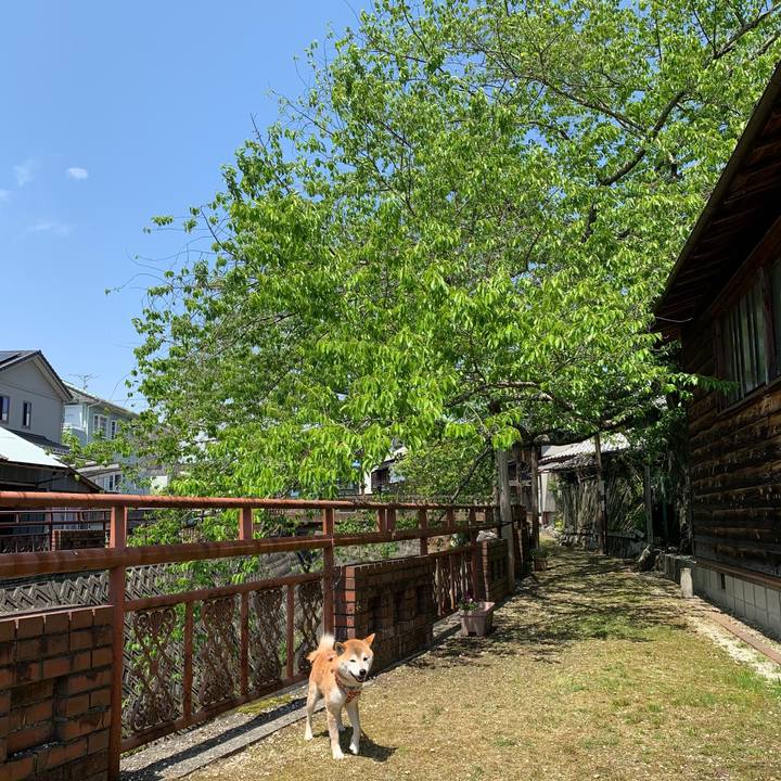 44be7e56 d1de 4e77 830c 38035726ee82 1621422328344