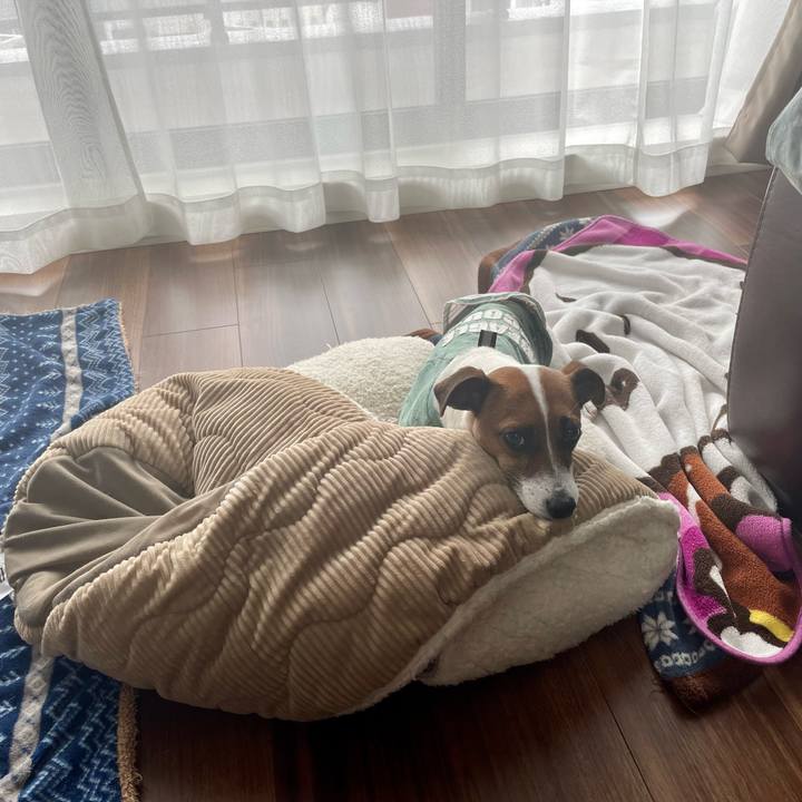 44bea4a7 4883 4e35 ae53 26da97dc3519 1651034363270