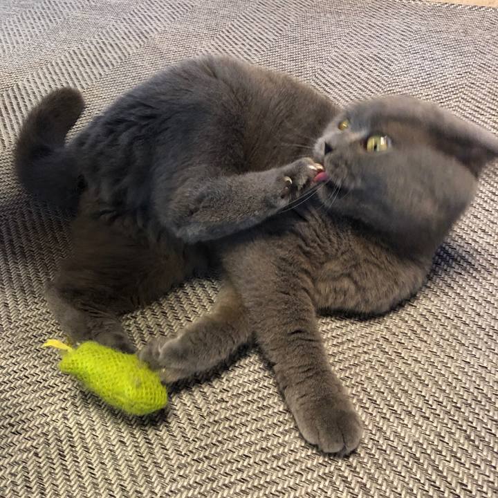 44beb9a3 4dad 43ff 97a7 fe6b8e9561a0 1562123544816