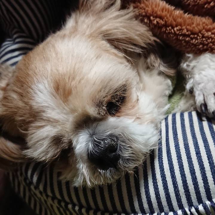 44bec3e9 4bfe 4f1a b985 eeb55facea9e 1645132390528