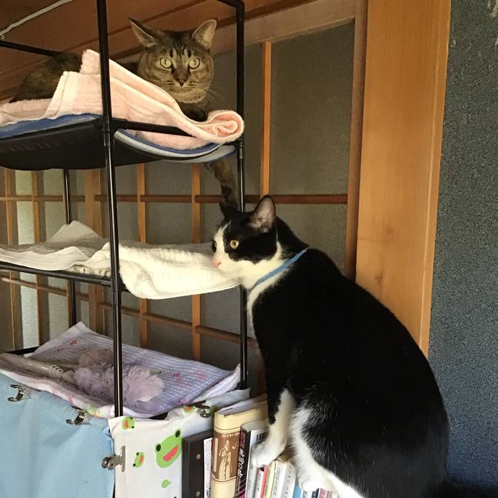 44bedb98 7570 493e a767 4e5137049303 1695529432495