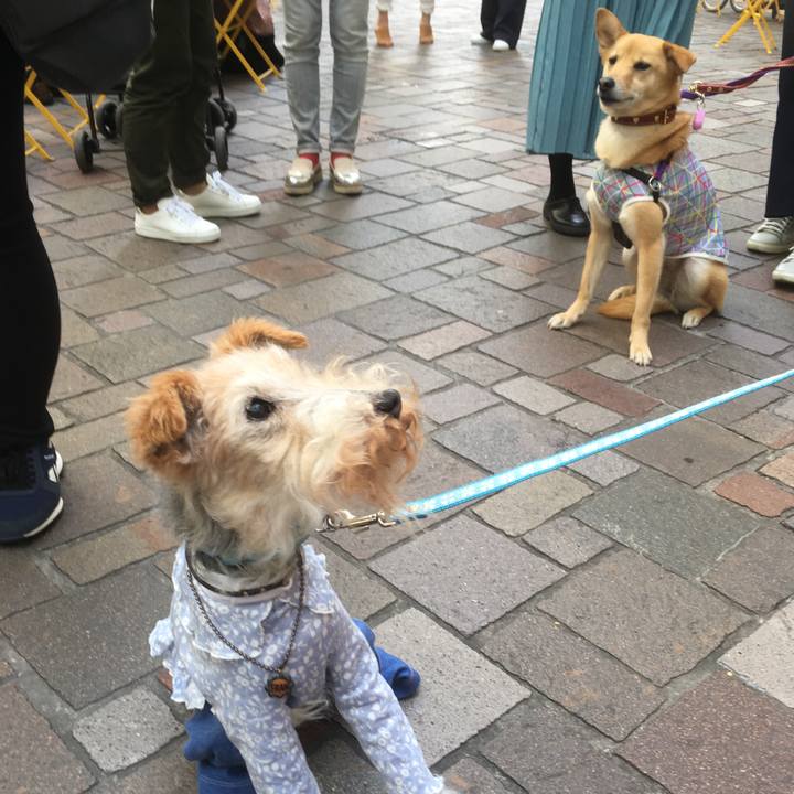 44bf48d4 2d48 4488 8c30 6fc705f91847 1555775446340