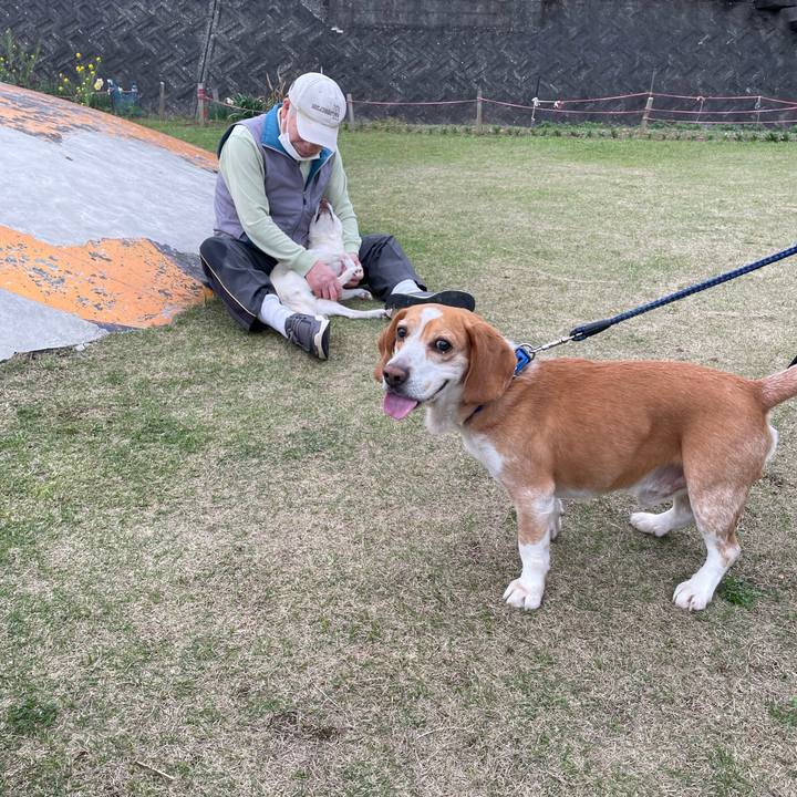 44bf7886 08da 4de9 b48d 8602a7022e65 1679652432879