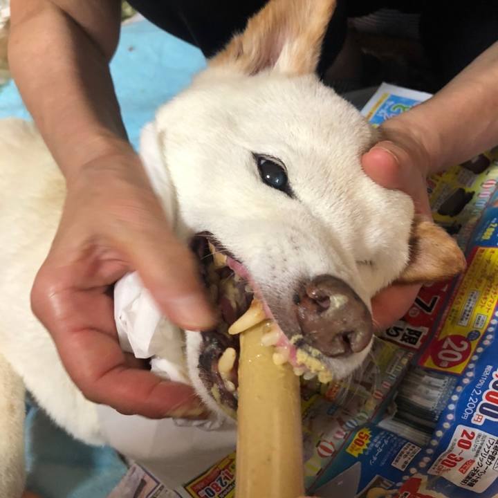 44bf916a 51a2 4f75 99ec defc6b091df0 1660556817847