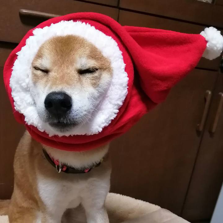 44bfc5e9 84b5 4837 9d78 f527c9714d03 1638883980526