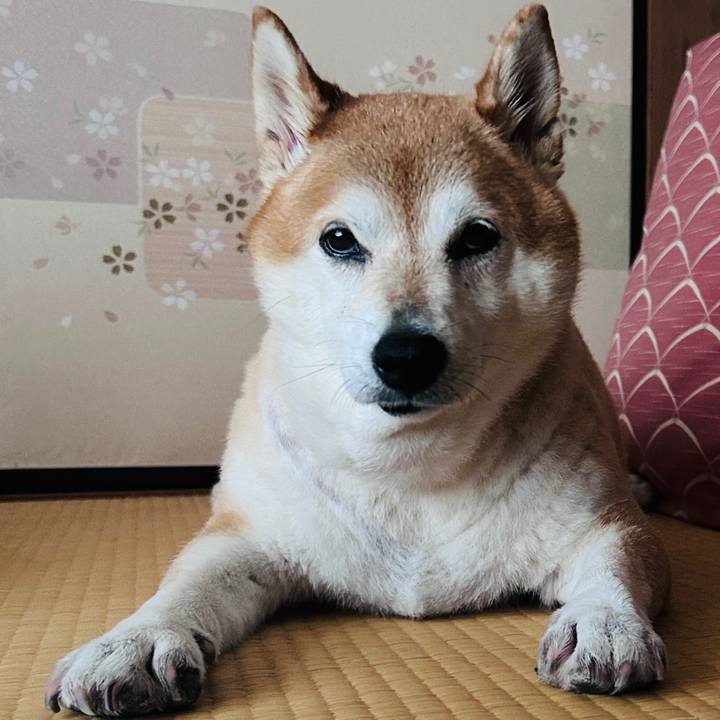 44bfc68d 8133 4fe9 8b20 745818d89c2a 1728103532410